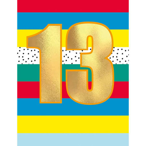 Picture of 13TH BIRTHDAY CARD